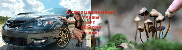 spice Алексеевка