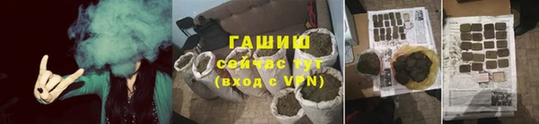 сатива Алзамай