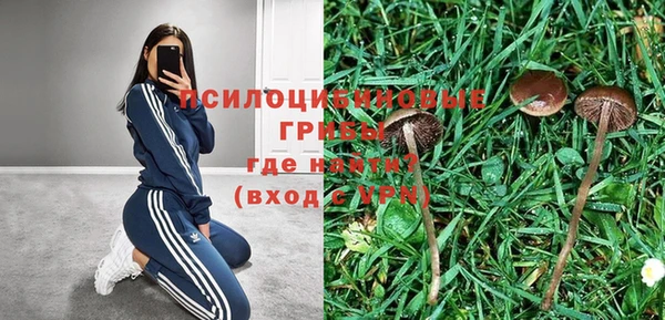 экстази Алексин