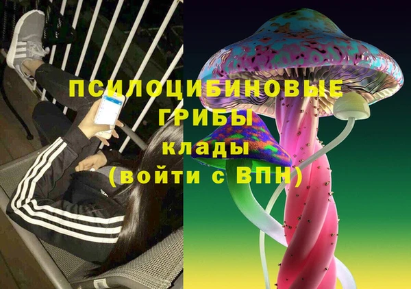 сатива Алзамай