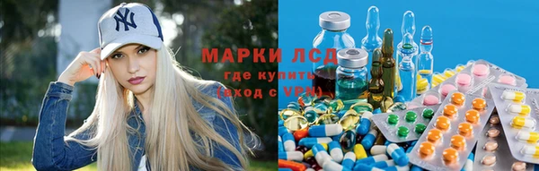 сатива Алзамай